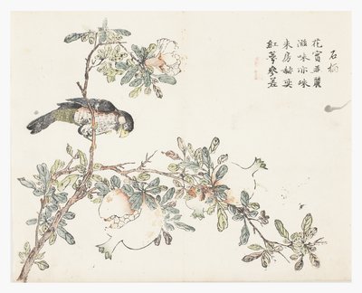 Zahrada hořčičných semen od Chinese School
