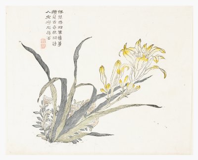 Zahrada hořčičných semen od Chinese School