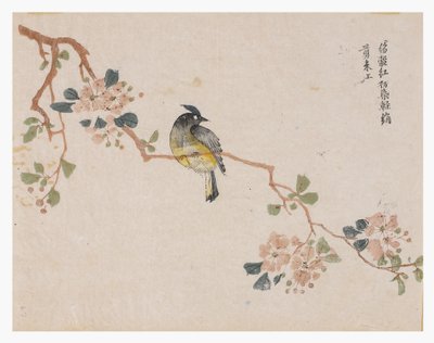 Zahrada hořčičných semen od Chinese School