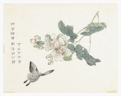 Zahrada hořčičných semen od Chinese School