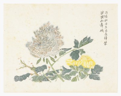 Zahrada hořčičných semen od Chinese School