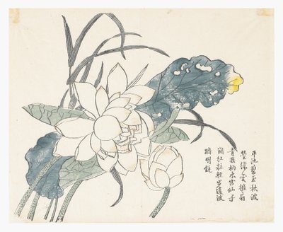 Zahrada hořčičných semen od Chinese School