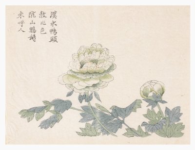 Zahrada hořčičných semen od Chinese School