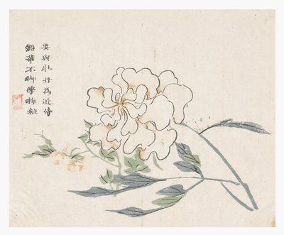 Zahrada hořčičných semen od Chinese School