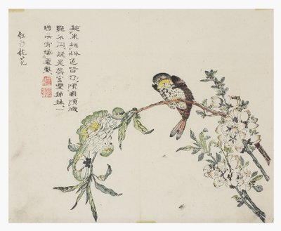 Zahrada hořčičných semen od Chinese School