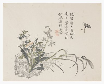 Zahrada hořčičných semen od Chinese School