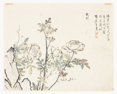 Zahrada hořčičných semen od Chinese School