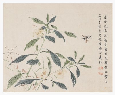 Zahrada hořčičných semen od Chinese School