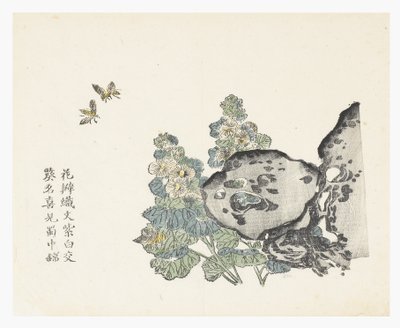 Zahrada hořčičných semen od Chinese School