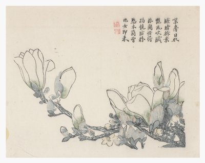 Zahrada hořčičných semen od Chinese School