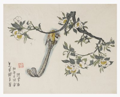 Zahrada hořčičných semen od Chinese School