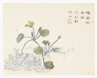 Zahrada hořčičných semen od Chinese School