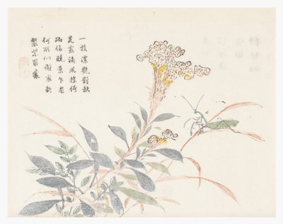 Zahrada hořčičných semen od Chinese School