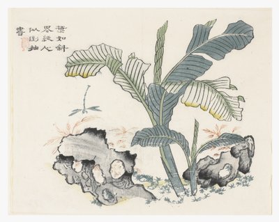 Zahrada hořčičných semen od Chinese School