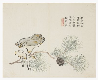 Zahrada hořčičných semen od Chinese School