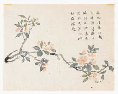 Zahrada hořčičných semen od Chinese School