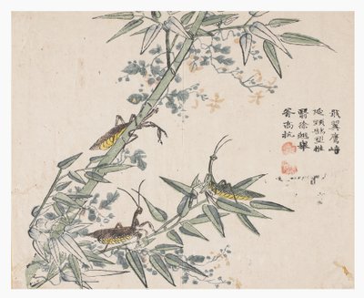 Zahrada hořčičných semen od Chinese School