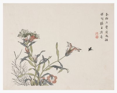Zahrada hořčičných semen od Chinese School
