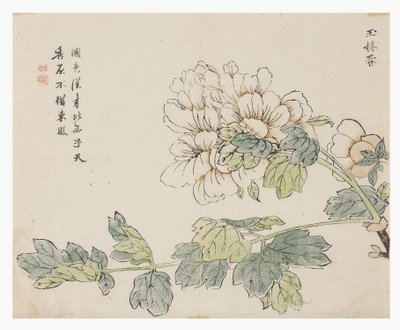 Zahrada hořčičných semen od Chinese School
