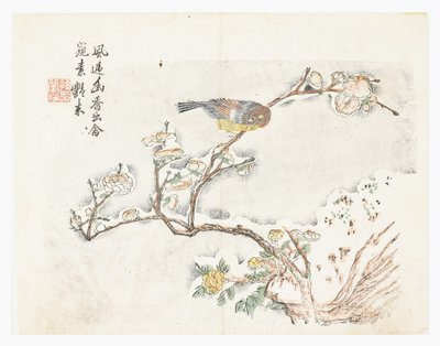 Zahrada hořčičných semen od Chinese School