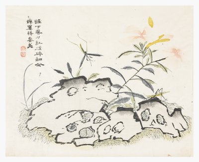Zahrada hořčičných semen od Chinese School
