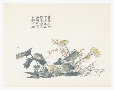 Zahrada hořčičných semen od Chinese School
