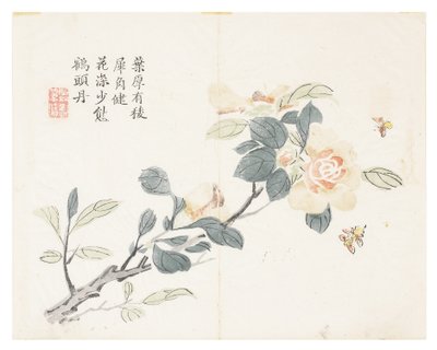 Zahrada hořčičných semen od Chinese School
