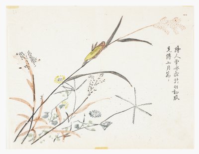 Zahrada hořčičných semen od Chinese School
