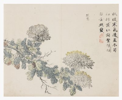 Zahrada hořčičných semen od Chinese School