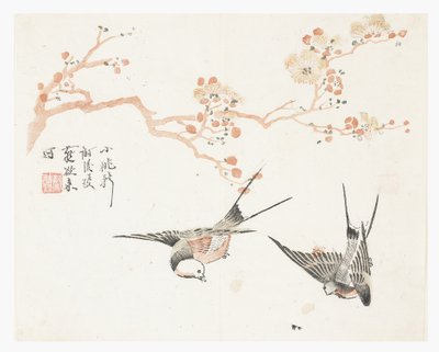 Zahrada hořčičných semen od Chinese School