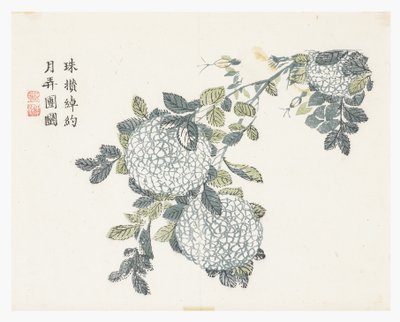 Zahrada hořčičných semen od Chinese School