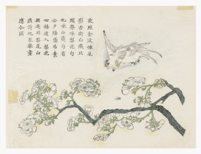 Zahrada hořčičných semen od Chinese School