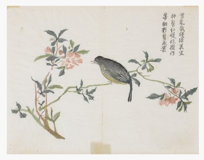 Zahrada hořčičných semen od Chinese School