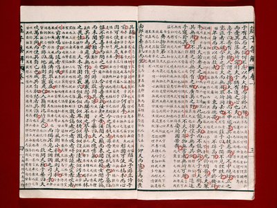 Stránka z Knihy poezie od Chuang-Tzu (inkoust na papíře) od Chinese School