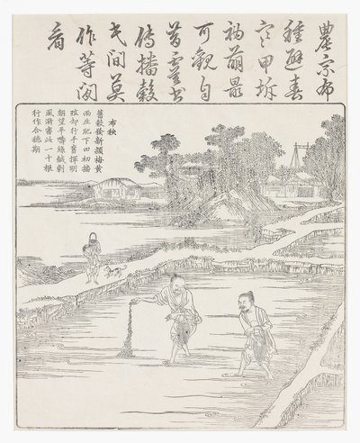 Výsev rýže do záhonu., 18. stol od Chinese School