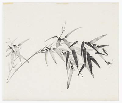 Řada Deset bambusů, 18. století od Chinese School