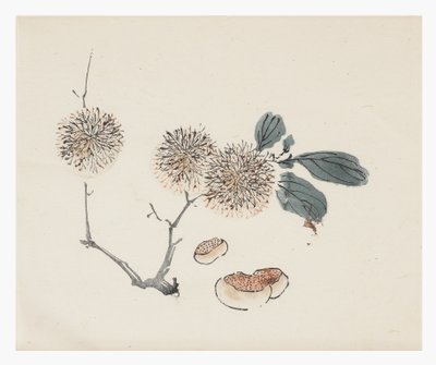 Řada Deset bambusů, 18. století od Chinese School
