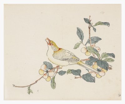 Řada Deset bambusů, 18. století od Chinese School