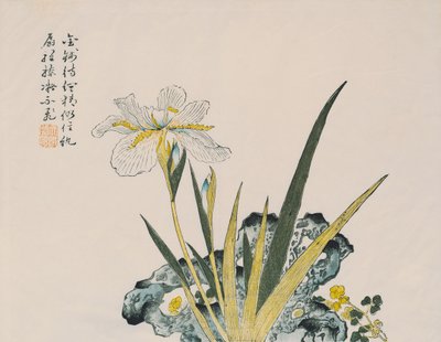 Zahrada velká jako zrnko hořčice, 17.–18. století od Chinese School