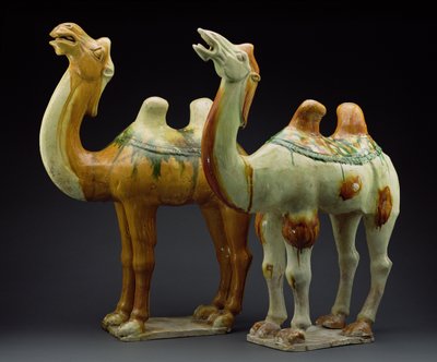 Dva velbloudi, dynastie Tang (618-907) (glazovaná kamenina) od Chinese School