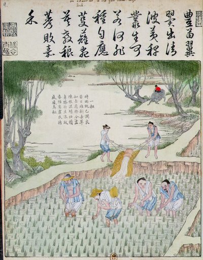 Weeding, The Rice Culture in China (barevný dřevořez) od Chinese School
