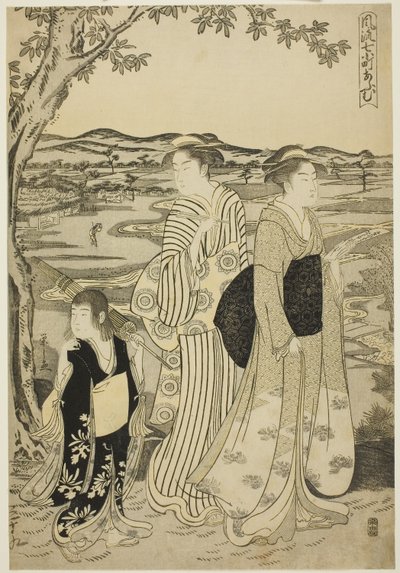 Papoušek Komači, ze série Sedm módních Komači (Furyu nana Komači), asi 1788 (barevný dřevoryt; oban) od Chobunsai Eishi