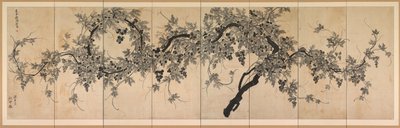 Vinná réva od Choe Seok hwan