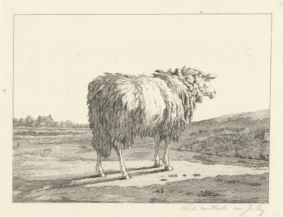 Ovce v krajině od Christiaan Godfried Schutze van Houten