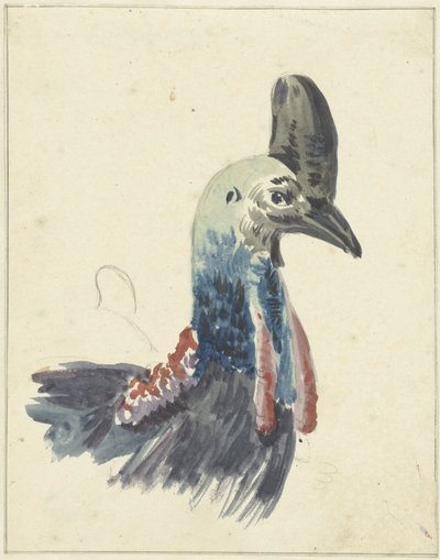 Vedoucí kasuára od Christiaan van Geelen
