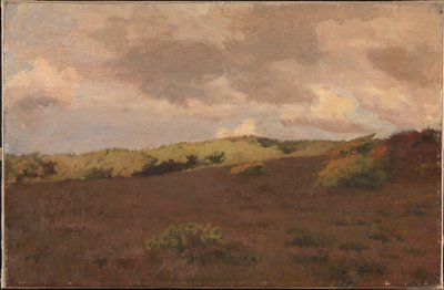 Krajina vřesoviště. Podzim od Christian Mourier Petersen