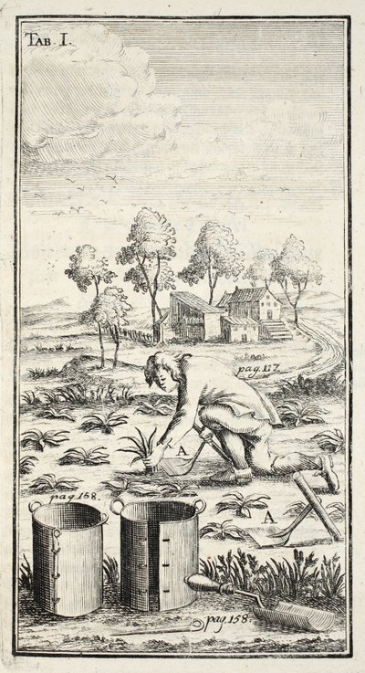 Zahrádkářská sklizeň, pub. Erfurt v Durynsku, 1753-55 od Christian Reicharts