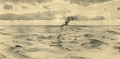 Parník na Indickém oceánu, 1898. od Christian Wilhelm Allers