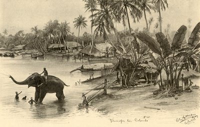 Mytí slona v řece, Colombo, Ceylon, 1898. od Christian Wilhelm Allers