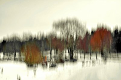 Abstrakt: Zimní les od Christina Sillen